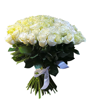 Фото товара «51 белая роза эквадор»
