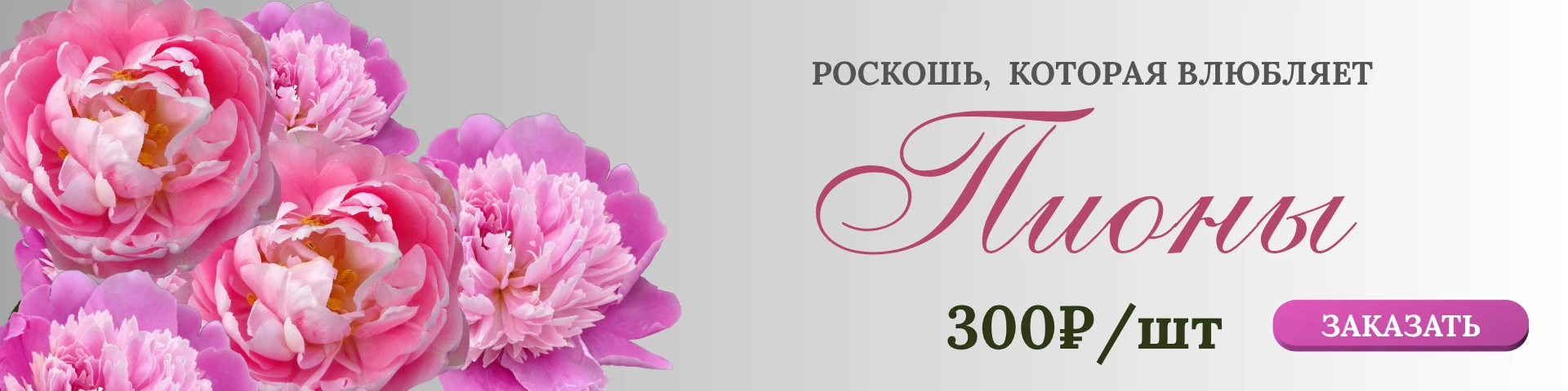 Слайд #2