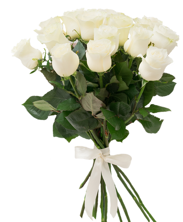 Фото товара «25 белых роз»