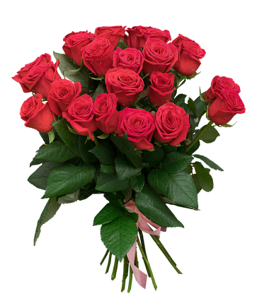 Фото товара «25 бордовых роз»