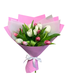 15 бело-розовых тюльпанов в оформлении