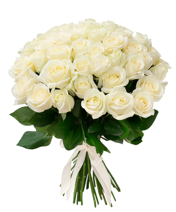 Фото товара «51 белая роза»