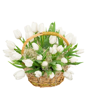 Корзина подснежников
