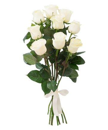Фото товара «9 белых роз»