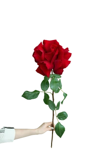 Японская роза красная 50см