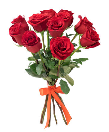 Фото товара «11 красных роз»