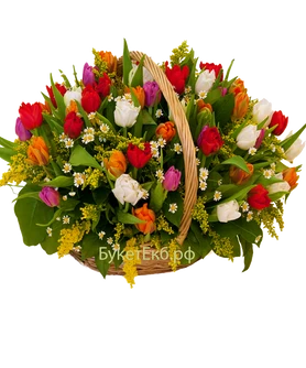 Весна пришла