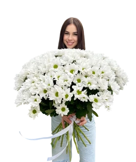 Букет из 21 хризантемы кустовой с атласной лентой.