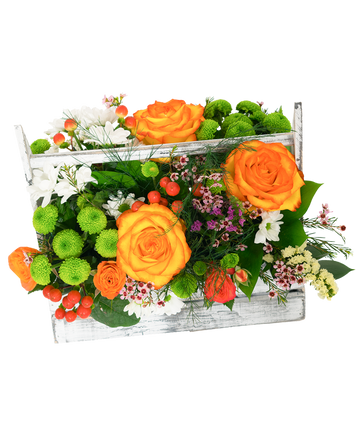 Фото товара «Ящик с цветами Конфетка»