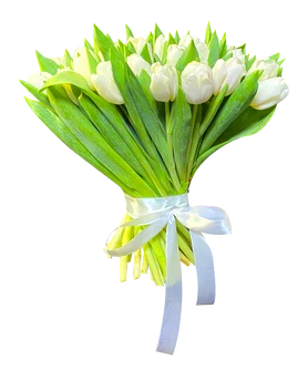 Букет белых тюльпанов Светлые мечты