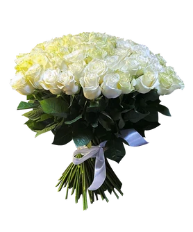 51 белая роза эквадор