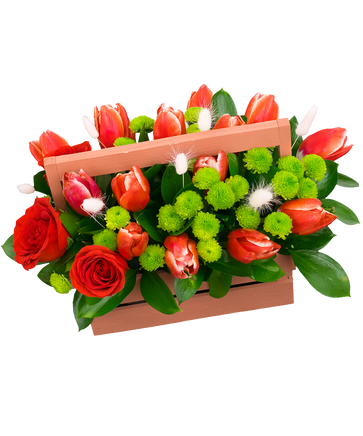 Фото товара «Ящик с тюльпанами Красная поляна»