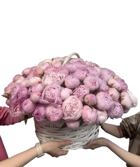 101шт. нежно-розовый пион в корзине.